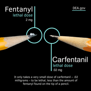 Fentanyl vs Carfentanil